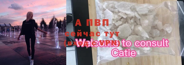 индика Горняк