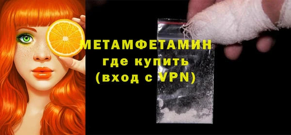 индика Горняк