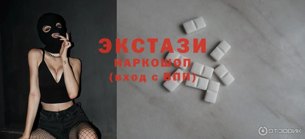 индика Горняк