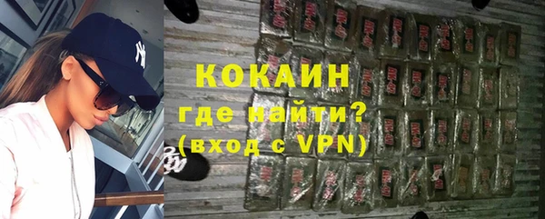 индика Горняк