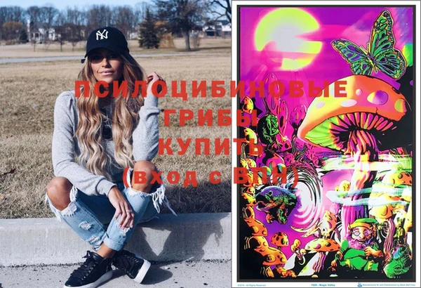 мяу мяу мука Гусь-Хрустальный