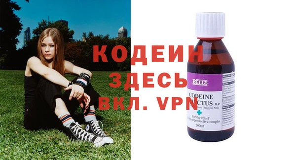 индика Горняк