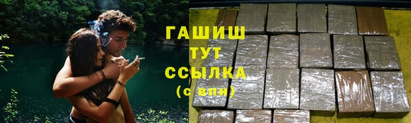 индика Горняк