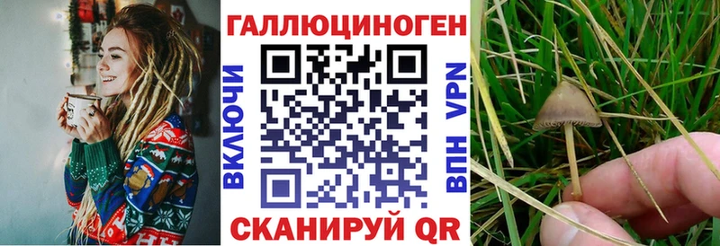Галлюциногенные грибы Cubensis  Грязи 